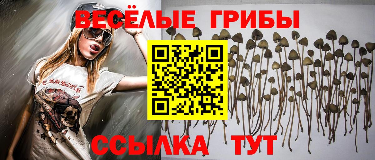 Дедовск  Псилоцибиновые грибы Magic Shrooms  Вход с VPN 